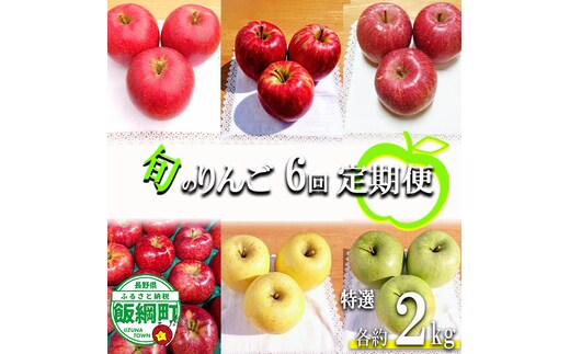 旬のりんご 【 定期便 】 特選 2kg × 6回 やまじゅうファーム 沖縄県への配送不可 2026年8月下旬頃から2027年1月下旬頃まで順次発送予定 令和8年度収穫分 信州の環境にやさしい農産物 減農薬栽培 長野県 飯綱町 [0856]