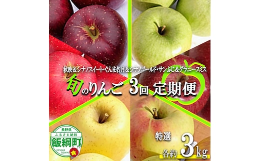 旬のりんご 【 定期便 】 2品種 詰め合わせ 特選 3kg × 3回 やまじゅうファーム 沖縄県への配送不可 2026年10月中旬頃から2026年12月下旬頃まで順次発送予定 令和8年度収穫分 信州の環境にやさしい農産物 減農薬栽培 長野県 飯綱町 [1031]