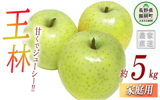 りんご 王林 家庭用 5kg ヤマハチ農園 沖縄県への配送不可 2026年11月中旬頃から2026年11月下旬頃まで順次発送予定 令和8年度収穫分 BLOF理論栽培 信州 果物 フルーツ リンゴ 林檎 長野 予約 農家直送 長野県 飯綱町 [1010]
