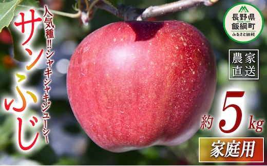 りんご サンふじ 家庭用 5kg ヤマハチ農園 沖縄県への配送不可 2025年11月中旬頃から2026年1月上旬頃まで順次発送予定 令和7年度収穫分 BLOF理論栽培 信州 果物 フルーツ リンゴ 林檎 長野 13500円 予約 農家直送 長野県 飯綱町 [0660]