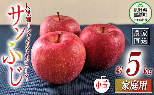 りんご サンふじ 家庭用 ( 小玉 ) 5kg ヤマハチ農園 沖縄県への配送不可 2026年12月上旬頃から2027年1月上旬頃まで順次発送予定 令和8年度収穫分 BLOF理論栽培 信州 果物 フルーツ リンゴ 林檎 長野 予約 農家直送 長野県 飯綱町 [0663]