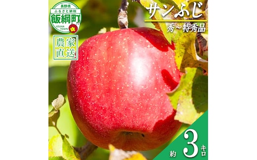 りんご サンふじ 秀 ～ 特秀 3kg 松澤農園 沖縄県への配送不可 2026年11月下旬頃から2027年2月上旬頃まで順次発送予定 令和8年度収穫分 長野県 飯綱町 [1336]