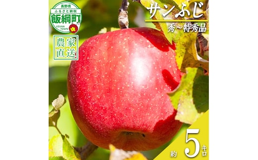 りんご サンふじ 秀 ～ 特秀 5kg 松澤農園 沖縄県への配送不可 2026年11月下旬頃から2027年2月上旬頃まで順次発送予定 令和8年度収穫分 長野県 飯綱町 [0502]