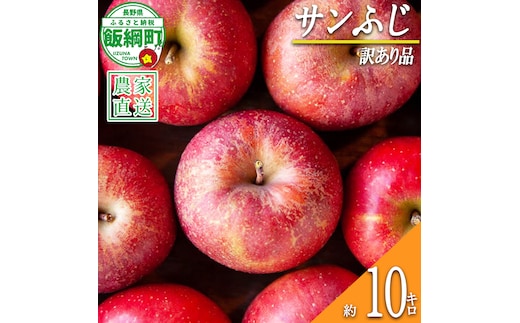 りんご サンふじ 訳あり 10kg 松澤農園 沖縄県への配送不可 2026年11月下旬頃から2027年2月下旬頃まで順次発送予定 令和8年度収穫分 長野県 飯綱町 [0503]