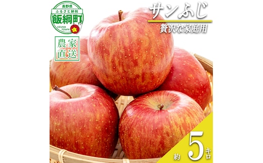 りんご サンふじちょっぴり贅沢な 家庭用 5kg 松澤農園 沖縄県への配送不可 2026年11月下旬頃から2027年2月下旬頃まで順次発送予定 令和8年度収穫分 長野県 飯綱町 [0715]