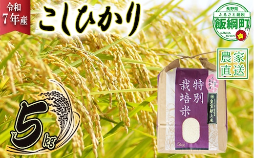 米 皇室献上実績 こしひかり 5kg ( 令和7年産 ) 特別栽培米 仲俣農園 2025年10月上旬頃から順次発送予定 コシヒカリ 白米 精米 お米 信州 23000円 予約 農家直送 長野県 飯綱町 [0669]