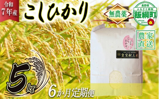 米 無農薬栽培 こしひかり 5kg × 6回 【 6か月 定期便 】( 令和5年産