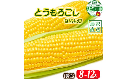 信州産 朝採り【 黄色 】 とうもろこし 8本 ～ 12本 ( 品種 おおもの ) 上倉荘 配送先は本州限定 2026年8月上旬頃から2026年9月中旬頃まで順次発送予定 信州 トウモロコシ コーン おおもの 野菜 黄色 イエロー 長野県 飯綱町 [0763]