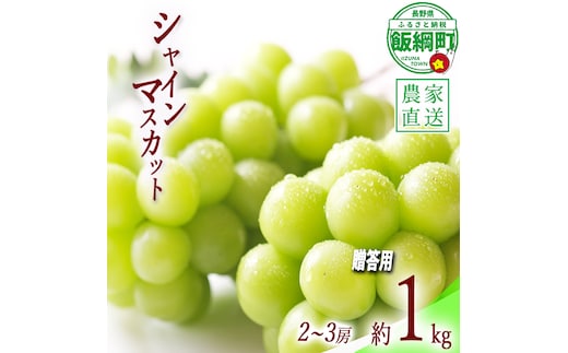 ぶどう シャインマスカット 贈答用 2房 〜 3房 ( 約 1kg ) ファームトヤ 配送先は本州限定 2026年9月中旬頃から2026年10月上旬頃まで順次発送予定 令和8年度収穫分 信州 果物 フルーツ ブドウ マスカット 葡萄 長野 予約 農家直送 長野県 飯綱町 [0877]