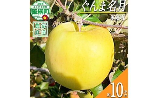 りんご ぐんま名月 家庭用 10kg ファームトヤ 2026年11月中旬頃から2026年12月下旬頃まで順次発送予定 令和8年度収穫分 信州 果物 フルーツ リンゴ 林檎 名月 長野 予約 農家直送 長野県 飯綱町 [1425]