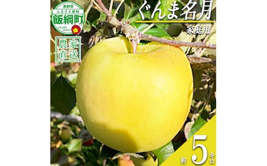 りんご ぐんま名月 家庭用 5kg ファームトヤ 沖縄県への配送不可 2026年11月中旬頃から2026年12月下旬頃まで順次発送予定 令和8年度収穫分 信州 果物 フルーツ リンゴ 林檎 名月 長野 予約 農家直送 長野県 飯綱町 [1424]