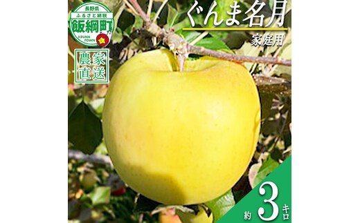 りんご ぐんま名月 家庭用 3kg ファームトヤ 沖縄県への配送不可 2026年11月中旬頃から2026年12月下旬頃まで順次発送予定 令和8年度収穫分 信州 果物 フルーツ リンゴ 林檎 名月 長野 予約 農家直送 長野県 飯綱町 [1423]