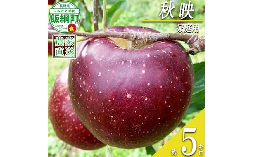 りんご 秋映 家庭用 5kg ファームトヤ 沖縄県への配送不可 2026年10月上旬頃から2026年10月下旬頃まで順次発送予定 令和8年度収穫分 信州 果物 フルーツ リンゴ 林檎 秋映 りんご3兄弟 長野 予約 農家直送 長野県 飯綱町 [1140]