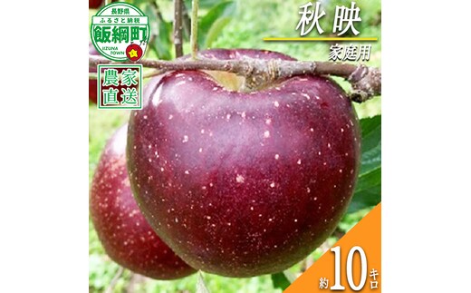 りんご 秋映 家庭用 10kg ファームトヤ 2026年10月上旬頃から2026年10月下旬頃まで順次発送予定 令和8年度収穫分 信州 果物 フルーツ リンゴ 林檎 秋映 りんご3兄弟 長野 予約 農家直送 長野県 飯綱町 [1141]