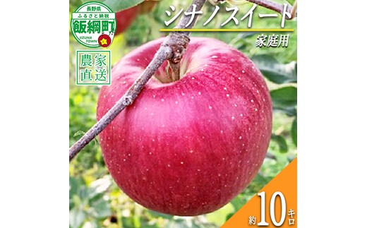 りんご シナノスイート 家庭用 10kg ファームトヤ 2026年10月中旬頃から2026年10月下旬頃まで順次発送予定 令和8年度収穫分 信州 果物 フルーツ リンゴ 林檎 シナノスイート りんご3兄弟 長野 予約 農家直送 長野県 飯綱町 [1143]