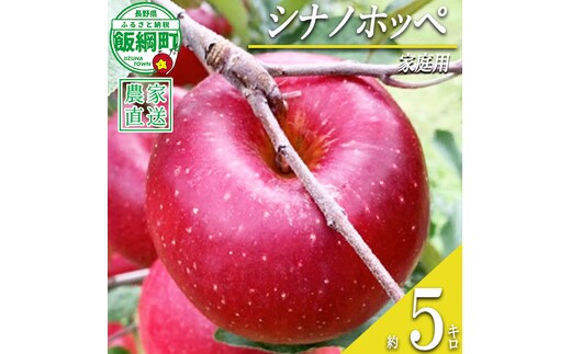 りんご シナノホッペ 家庭用 5kg ファームトヤ 沖縄県への配送不可 2026年11月上旬頃から2026年11月下旬頃まで順次発送予定 令和8年度収穫分 信州 果物 フルーツ リンゴ 林檎 長野 予約 農家直送 長野県 飯綱町 [0945]