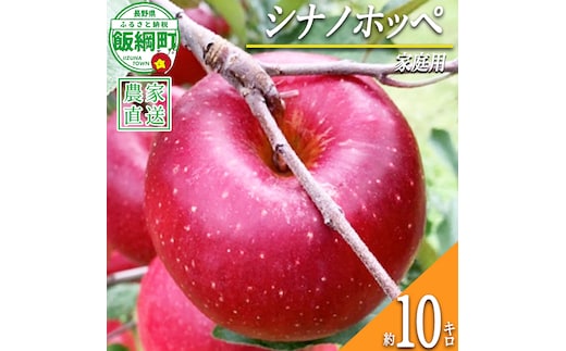 りんご シナノホッペ 家庭用 10kg ファームトヤ 2026年11月上旬頃から2026年11月下旬頃まで順次発送予定 令和8年度収穫分 信州 果物 フルーツ リンゴ 林檎 長野 予約 農家直送 長野県 飯綱町 [0946]