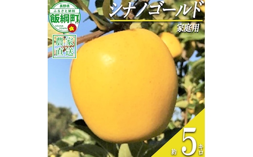 りんご シナノゴールド 家庭用 5kg ファームトヤ 沖縄県への配送不可 2026年11月中旬頃から2027年1月上旬頃まで順次発送予定 令和8年度収穫分 信州 果物 フルーツ リンゴ 林檎 長野 予約 農家直送 長野県 飯綱町 [1144]