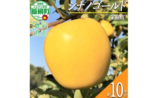 りんご シナノゴールド 家庭用 10kg ファームトヤ 2026年11月中旬頃から2027年1月上旬頃まで順次発送予定 令和8年度収穫分 信州 果物 フルーツ リンゴ 林檎 長野 予約 農家直送 長野県 飯綱町 [1145]
