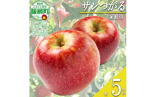 りんご サンつがる 家庭用 5kg ファームたんぽぽ 沖縄県への配送不可 2026年9月上旬頃から2025年9月中旬頃まで順次発送予定 令和8年度収穫分 信州 果物 フルーツ リンゴ 林檎 長野 予約 農家直送 長野県 飯綱町 [0730]