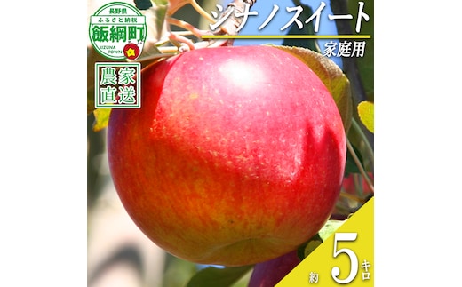 りんご シナノスイート 家庭用 5kg ファームたんぽぽ 2026年10月下旬頃から2026年11月上旬頃まで順次発送予定 令和8年度収穫分 信州 果物 フルーツ リンゴ 林檎 長野 予約 農家直送 長野県 飯綱町 [0733]