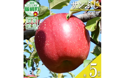 りんご サンふじ 家庭用 5kg ファームたんぽぽ 沖縄県への配送不可 2026年12月上旬頃から2027年1月下旬頃まで順次発送予定 令和8年度収穫分 信州 果物 フルーツ リンゴ 林檎 長野 予約 農家直送 長野県 飯綱町 [0735]
