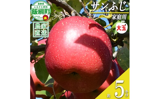 りんご サンふじ ( 大玉 ) 家庭用 5kg ファームたんぽぽ 沖縄県への配送不可 2026年12月上旬頃から2027年1月下旬頃まで順次発送予定 令和8年度収穫分 信州 果物 フルーツ リンゴ 林檎 長野 予約 農家直送 長野県 飯綱町 [0613]