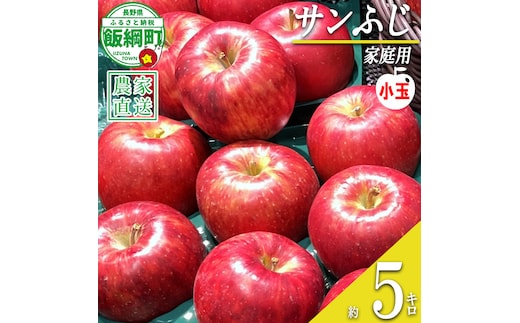 りんご サンふじ ( 小玉 ) 家庭用 5kg ファームたんぽぽ 沖縄県への配送不可 2026年12月上旬頃から2027年1月下旬頃まで順次発送予定 令和8年度収穫分 信州 果物 フルーツ リンゴ 林檎 長野 予約 農家直送 長野県 飯綱町 [0614]