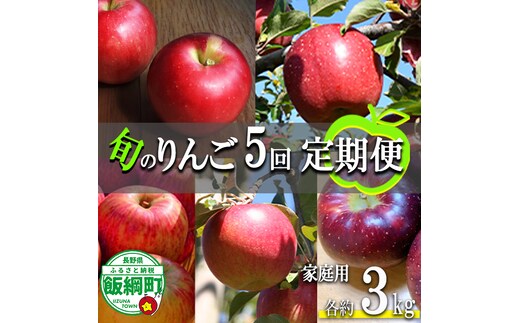 旬のりんご 【 定期便 】 家庭用 3kg × 5回 ファームたんぽぽ 沖縄県への配送不可 2026年9月上旬頃から2026年12月中旬頃まで順次発送予定 令和8年度収穫分 信州 果物 フルーツ リンゴ 林檎 長野 予約 農家直送 長野県 飯綱町 [0736]