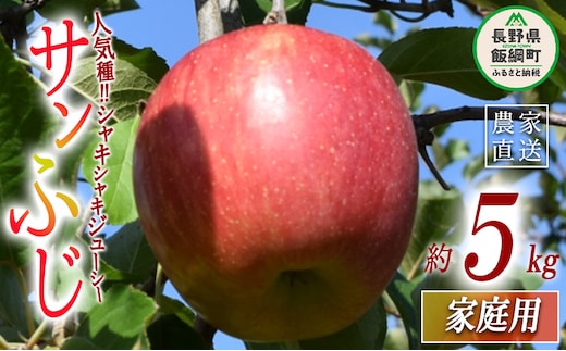 りんご サンふじ 家庭用 5kg 大垣農園 沖縄県への配送不可 2025年11月下旬頃から2025年12月下旬頃まで順次発送予定 令和7年度収穫分 信州 果物 フルーツ リンゴ 林檎 長野 11500円 予約 農家直送 長野県 飯綱町 [1132]