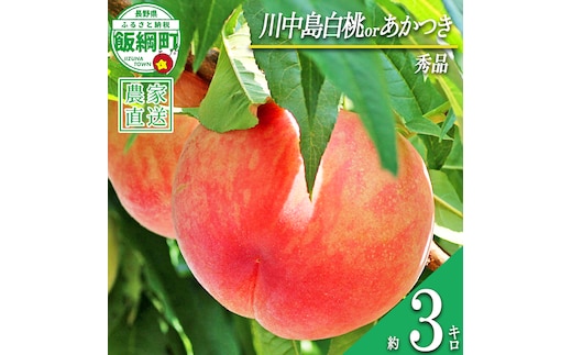 もも 旬の桃 秀品 約 3kg ( 品種おまかせ ) 永正の地蔵尊神谷農園 配送先は本州限定 2026年8月中旬頃から2026年9月上旬頃まで順次発送予定 令和8年度収穫分 信州 果物 フルーツ モモ 桃 長野 予約 農家直送 長野県 飯綱町 [0772]