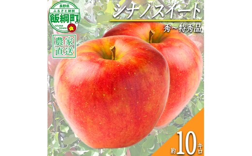 りんご シナノスイート 秀 ～ 特秀 10kg 永正の地蔵尊神谷農園 2026年10月上旬頃から2026年12月上旬頃まで順次発送予定 令和8年度収穫分 信州 果物 フルーツ リンゴ 林檎 長野 予約 農家直送 長野県 飯綱町 [0442]
