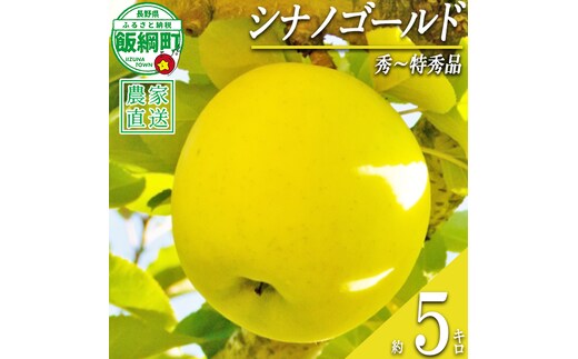 りんご シナノゴールド 秀 ～ 特秀 5kg 永正の地蔵尊神谷農園 沖縄県への配送不可 2026年11月中旬頃から2026年12月下旬頃まで順次発送予定 令和8年度収穫分 信州 果物 フルーツ リンゴ 林檎 長野 予約 農家直送 長野県 飯綱町 [1253]