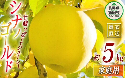 りんご シナノゴールド 家庭用 5kg 永正の地蔵尊神谷農園 沖縄県への配送不可 2025年11月中旬頃から2025年12月下旬頃まで順次発送予定 令和7年度収穫分 信州 果物 フルーツ リンゴ 林檎 長野 12500円 予約 農家直送 長野県 飯綱町 [1254]