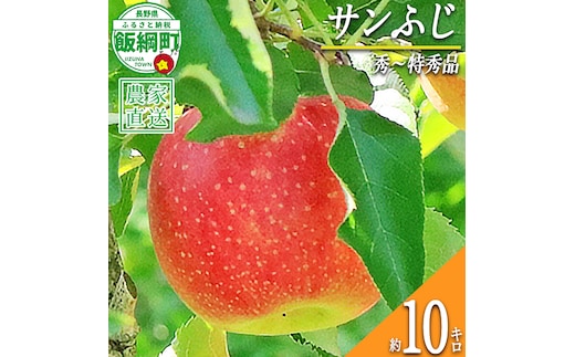 りんご サンふじ 秀 ～ 特秀 10kg 永正の地蔵尊神谷農園 2026年12月上旬頃から2027年2月上旬頃まで順次発送予定 令和8年度収穫分 信州 果物 フルーツ リンゴ 林檎 長野 予約 農家直送 長野県 飯綱町 [0312]