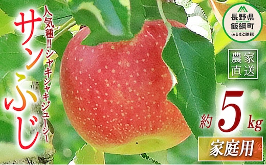 りんご サンふじ 家庭用 5kg 永正の地蔵尊神谷農園 沖縄県への配送不可 2025年12月中旬頃から2026年3月上旬頃まで順次発送予定 令和7年度収穫分 信州 果物 フルーツ リンゴ 林檎 長野 12500円 予約 農家直送 長野県 飯綱町 [0774]