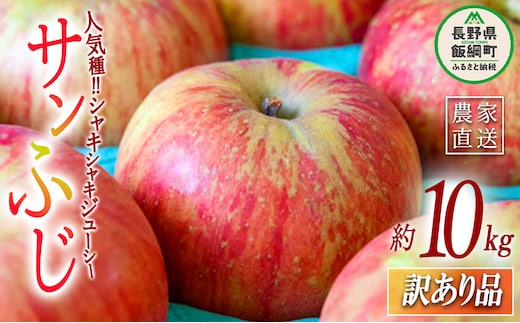りんご サンふじ 訳あり 10kg 永正の地蔵尊神谷農園 沖縄県への配送不可 2025年12月中旬頃から2026年3月上旬頃まで順次発送予定 令和7年度収穫分 傷 不揃い リンゴ 林檎 果物 フルーツ 信州 長野 19000円 予約 農家直送 長野県 飯綱町 [0209]