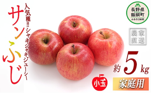 りんご サンふじ 家庭用 ( 小玉 ) 5kg 永正の地蔵尊神谷農園 沖縄県への配送不可 2026年1月上旬頃から2026年3月上旬頃まで順次発送予定 令和7年度収穫分 信州 果物 フルーツ リンゴ 林檎 長野 11000円 予約 農家直送 長野県 飯綱町 [0775]