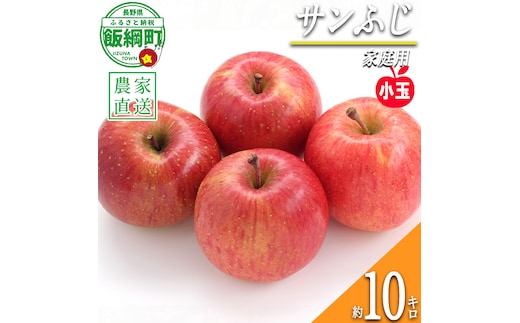りんご サンふじ 家庭用 ( 小玉 ) 10kg 永正の地蔵尊神谷農園 2027年1月上旬頃から2027年3月上旬頃まで順次発送予定 令和8年度収穫分 信州 果物 フルーツ リンゴ 林檎 長野 予約 農家直送 長野県 飯綱町 [0978]