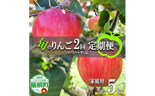 旬のりんご 【 定期便 】 家庭用 5kg × 2回 永正の地蔵尊神谷農園 沖縄県への配送不可 2026年10月上旬頃から2026年12月中旬頃まで順次発送予定 令和8年度収穫分 信州 果物 フルーツ リンゴ 林檎 長野 予約 農家直送 長野県 飯綱町 [0777]