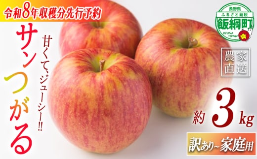 りんご サンつがる 家庭用・訳あり3kg 農家応援企画 【令和8年度収穫分】 ※沖縄県への配送不可 ※2026年8月下旬頃から9月中旬頃まで順次発送予定 長野県飯綱町[0786]