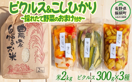 ピクルス 米 信州 飯綱町産の野菜で作った ピクルス ( 300g × 3袋 ) ＆ はぜかけ米のコシヒカリ ( 2kg ) 季節の野菜つき！ 沖縄県への配送不可 いいづなピクルスの会 酢 す 保存食 漬物 サラダ ビネガー カラフル 長野県 飯綱町 [1200]