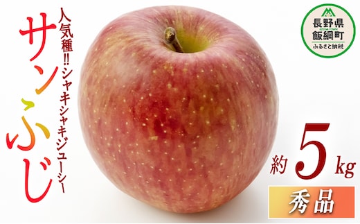 りんご サンふじ 秀 5kg 光センサー選別品 ながの農業協同組合 沖縄県への配送不可 2026年12月上旬頃から2026年12月下旬頃まで順次発送予定 令和8年度収穫分 信州 果物 フルーツ リンゴ 林檎 長野 予約 長野県 飯綱町 [0339]