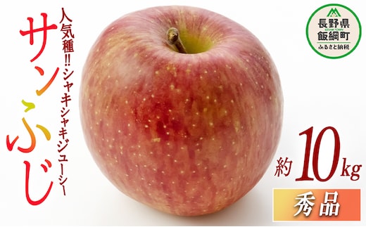りんご サンふじ 秀 10kg 光センサー選別品 ながの農業協同組合 2026年12月上旬頃から2026年12月下旬頃まで順次発送予定 令和8年度収穫分 信州 果物 フルーツ リンゴ 林檎 長野 予約 長野県 飯綱町 [0338]