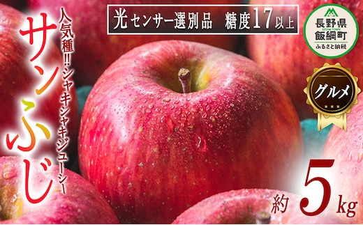 りんご サンふじ グルメ 5kg 最高級 最高ランク 糖度17度以上 光センサー選別品 ながの農業協同組合 2026年12月上旬頃から2026年12月下旬頃まで順次発送予定 令和8年度収穫分 信州 果物 フルーツ リンゴ 林檎 高級 特選 特秀 糖度保証 数量限定 長野 予約 長野県 飯綱町 [0337]
