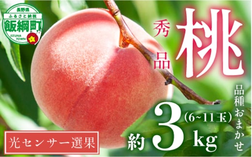 【 2026年 先行予約 】 桃 3kg 秀品 訳あり 《 品種おまかせ「 白鳳 」「 あかつき 」「 なつっこ 」いずれか1品種 》 光センサー選別品 【 予約 果物 くだもの もも フルーツ 長野 信州 クール便 】 沖縄県への配送不可 2026年8月上旬頃から2026年8月中旬頃まで順次発送予定 日時指定不可 令和8年度出荷分 長野県 飯綱町 [1441]
