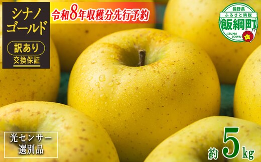 【 感謝りんご / 光センサー選別品 】 りんご シナノゴールド 訳あり 5kg （ 12玉 〜 25玉 ） 交換保証 ながの農業協同組合 沖縄県への配送不可 2026年11月上旬頃から2026年11月下旬頃まで順次発送予定 令和8年度収穫分 傷 不揃い リンゴ 林檎 果物 フルーツ 信州 長野 12000円 予約 長野県 飯綱町 [1208]