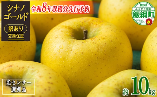 【 感謝りんご / 光センサー選別品 】 りんご シナノゴールド 訳あり 10kg （ 24玉 〜 50玉 ） 交換保証 ながの農業協同組合 沖縄県への配送不可 2026年11月上旬頃から2026年11月下旬頃まで順次発送予定 令和8年度収穫分 傷 不揃い リンゴ 林檎 果物 フルーツ 信州 長野 20000円 予約 長野県 飯綱町 [1209]