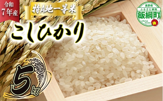 【 特A一等米 / コシヒカリ 】 精米 こしひかり 5kg ( 令和7年産 ) ふるさと振興個社 2025年11月上旬頃から順次発送予定 コシヒカリ 白米 精米 お米 信州 予約 農家直送 長野県 飯綱町 [0154]