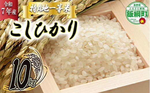 【 特A一等米 / コシヒカリ 】 精米 こしひかり 10kg ( 令和7年産 ) ふるさと振興個社 2025年11月上旬頃から順次発送予定 コシヒカリ 白米 精米 お米 信州 予約 農家直送 長野県 飯綱町 [0155]